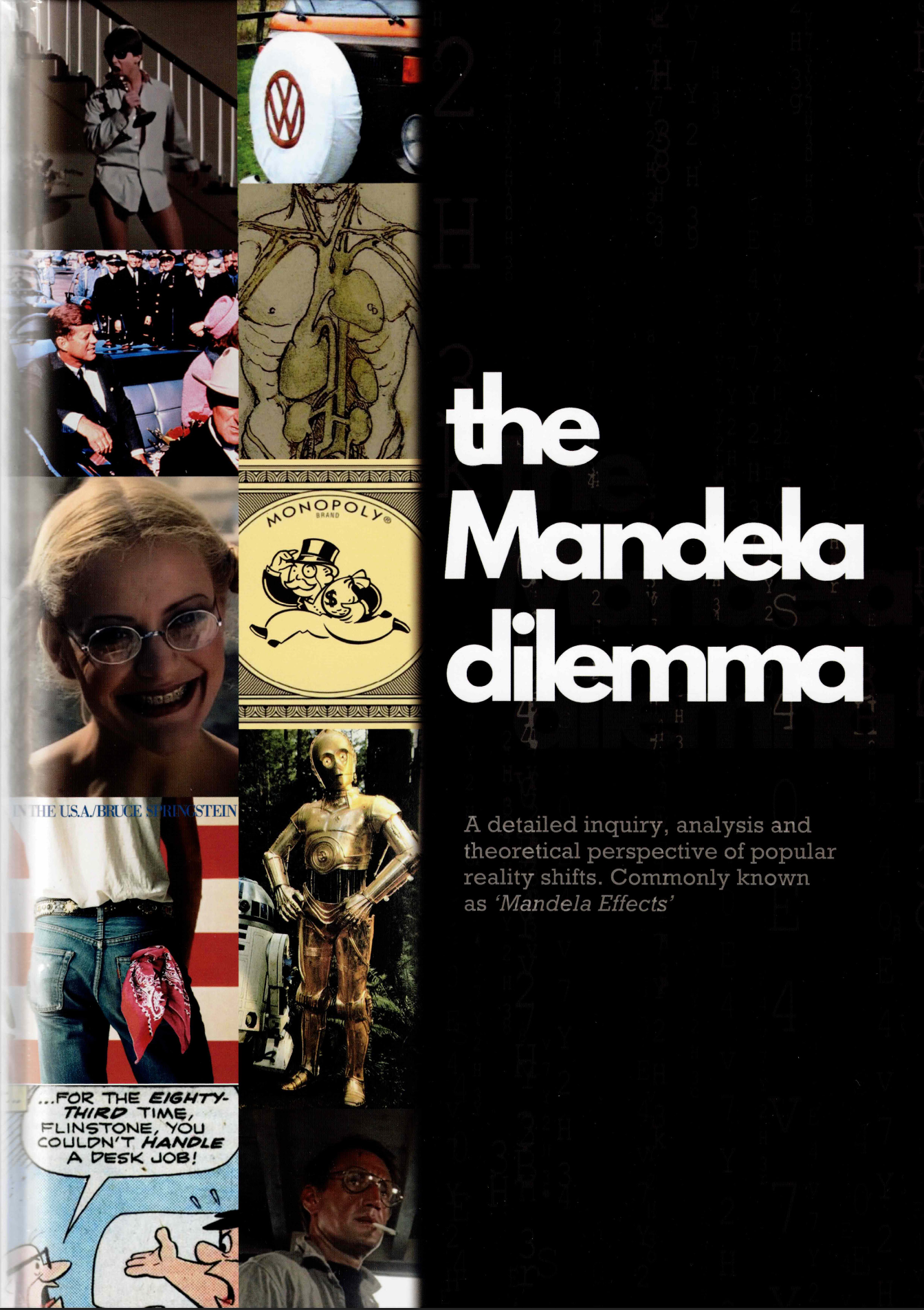 The Mandela Dilemma - ebook